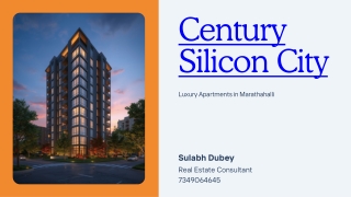 Century Silicon City Brochure
