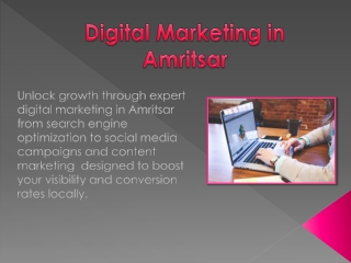 Digital Marketing in Amritsar