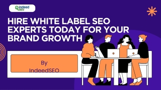 Hire White Label SEO Experts Today- IndeedSEO