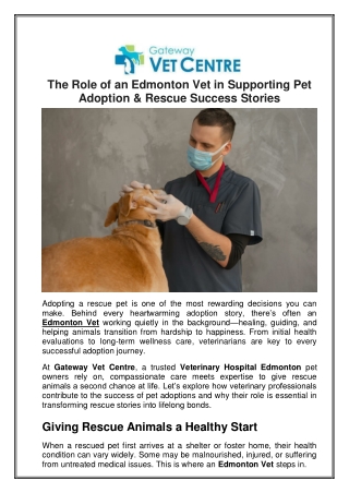 The Role of an Edmonton Vet in Supporting Pet Adoption & Rescue Success Stories