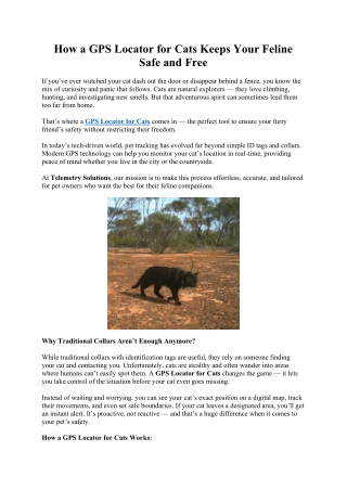 How a GPS Locator for Cats Keeps Your Feline Safe and Free