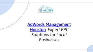 Boost Your ROI with Expert AdWords Management in Houston