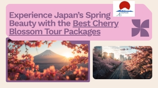 Experience Japan’s Spring Beauty with the Best Cherry Blossom Tour Packages