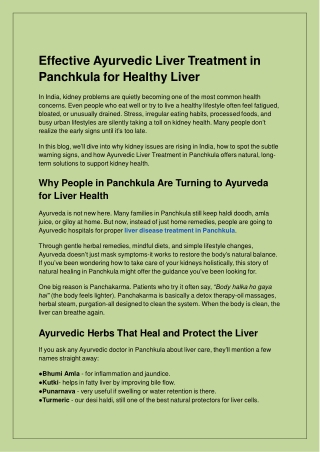 Natural Ayurvedic Liver Treatment in Panchkula for Lasting Health