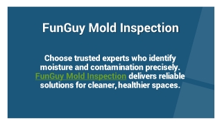 FunGuy Mold Inspection