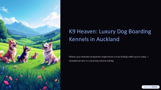 Dog Boarding Kennels Auckland (2)