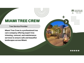Best Tree Service Miami - Miamitreecrew.com