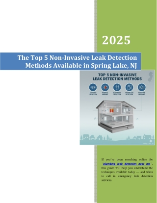 The Top 5 Non-Invasive Leak Detection Methods Available in Spring Lake, NJ