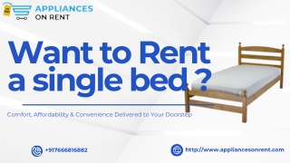 Stylish & Affordable Single Bed on Rent in Pimpri-Chinchwad