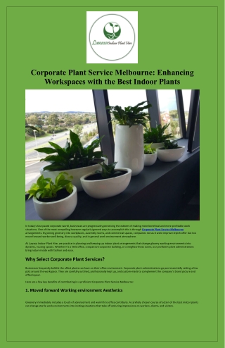 Corporate Plant Service Melbourne Enhancing Workspaces with the Best Indoor Plants