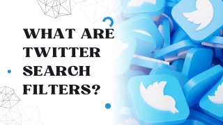 What Are Twitter Search Filters