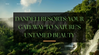 Dandeli Resorts Your Gateway to Nature’s Untamed Beauty