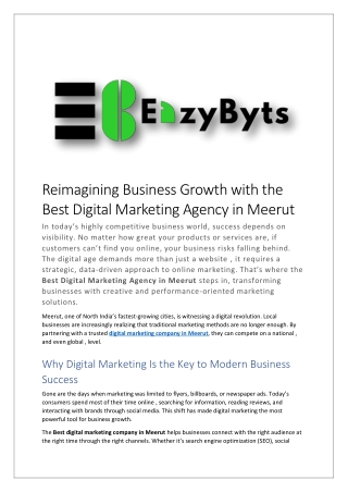 Reimagining Business Growth with the Best Digital Marketing Agency in Meerut