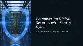 Strengthen Your Digital Defenses with Sentry Cyber’s Cybersecurity Solution