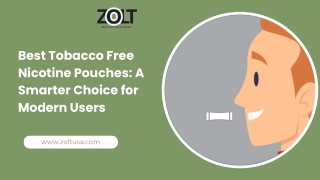 Best Tobacco Free Nicotine Pouches A Smarter Choice for Modern Users
