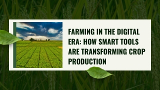 Farming in the Digital Era How Smart Tools Are Transforming Crop Production