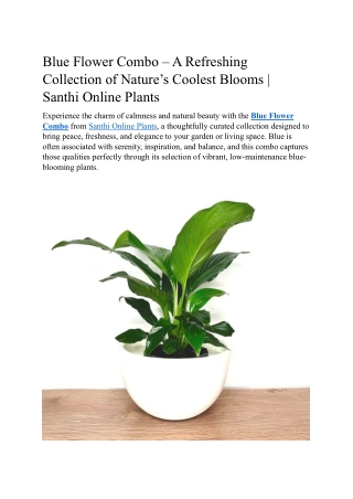 Blue Flower Combo – A Refreshing Collection of Nature’s Coolest Blooms | Santhi