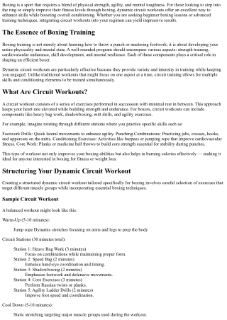 Dynamic Circuit Workouts Tailored for Aspiring Boxers!