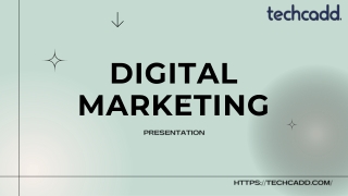 Learn SEO, Ads & more at TechCadd