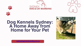 Dog Kennels Sydney A Home Away from Home for Your Pet