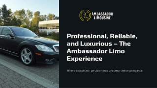 Professional, Reliable, and Luxurious – The Ambassador Limo Experience