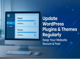 Update Wordpress Plugin and themes