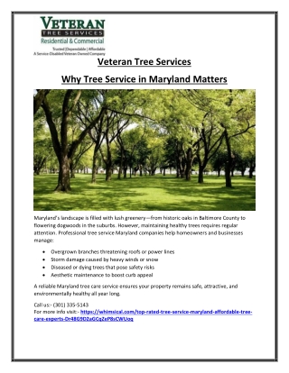 Expert Tree Service in Maryland for Your Property