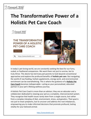 The Transformative Power of a Holistic Pet Care