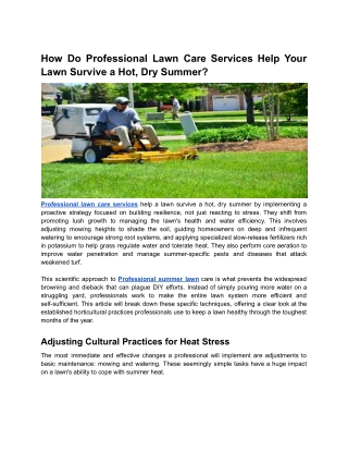 How Do Professional Lawn Care Services Help Your Lawn Survive a Hot, Dry Summer_
