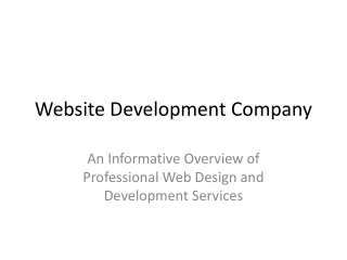 Professional Website Development Company