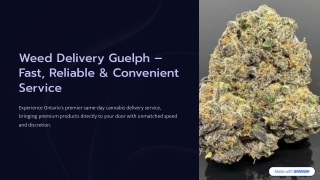 Weed-Delivery-Guelph-Fast-Reliable-and-Convenient-Service