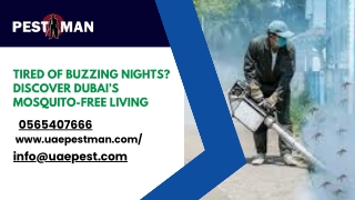 Professional Mosquito Pest Control in Dubai – UAE Pest Man