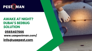 Professional Bed Bugs Pest Control in Dubai by UAE Pest Man