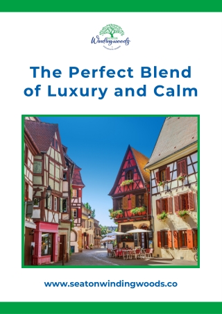 The Perfect Blend of Luxury and Calm