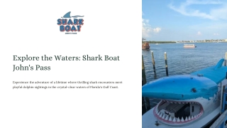 Explore the Waters Shark Boat John’s Pass – Thrills & Dolphins