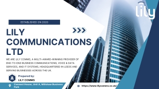 Digital Transformation Company, Telecommunications Leeds|Lily Comms