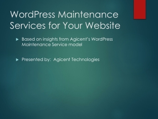 WordPress Maintenance Services for Your Website