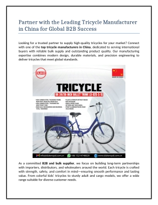 Partner with the Leading Tricycle Manufacturer in China for Global B2B Success