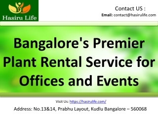 Plants on Rental Services Bangalore, hasiru life