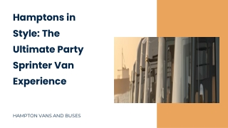 Hamptons in Style_ The Ultimate Party Sprinter Van Experience (1)