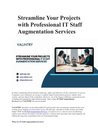 IT Staff  Augmentation Services