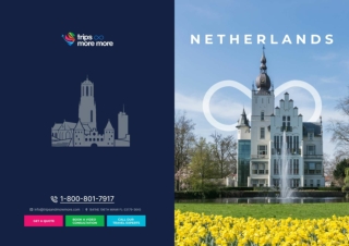 TOP CITIES IN NETHERLANDS