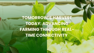 Tomorrow’s Harvest Today Advancing Farming Through Real-Time Connectivity