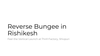 Reverse Bungee in Rishikesh - Feel the Vertical Launch at Thrill Factory Shivpuri
