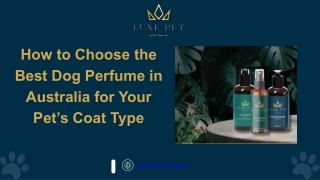 How to Choose the Best Dog Perfume in Australia for Your Pet’s Coat Type