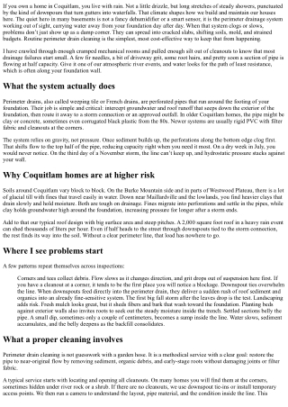 How Perimeter Drain Cleaning Protects Your Foundation in Coquitlam