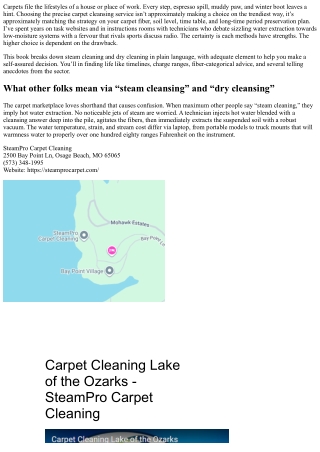 Steam vs. Dry Carpet Cleaning: Which Service Is Right for You?