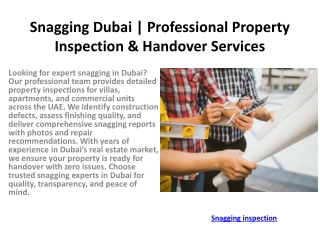 Snagging Dubai