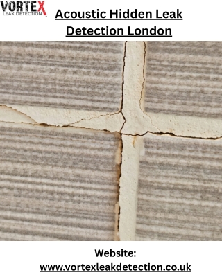 Acoustic Hidden Leak Detection in London – Precision Technology for Accurate