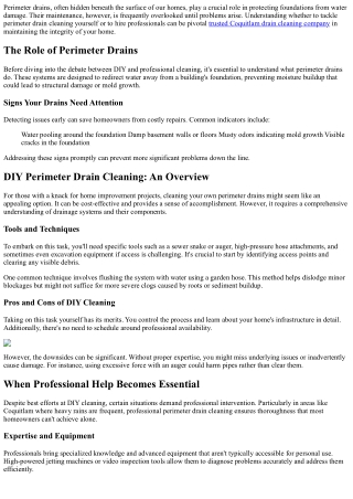 DIY vs Professional Perimeter Drain Cleaning: What You Need to Know